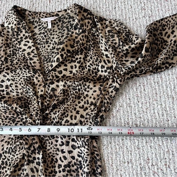 Rebecca Taylor Lynx Hammered Silk Dress - Picture 10 of 15